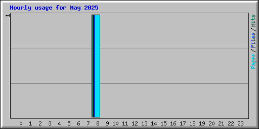 Hourly usage for May 2025