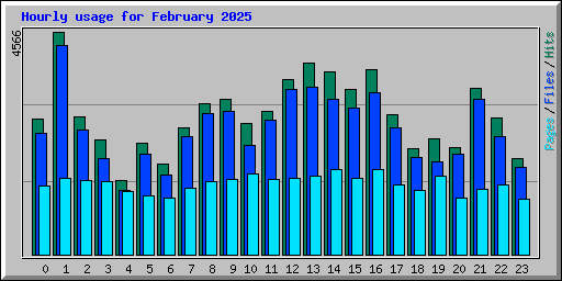 Hourly usage for February 2025