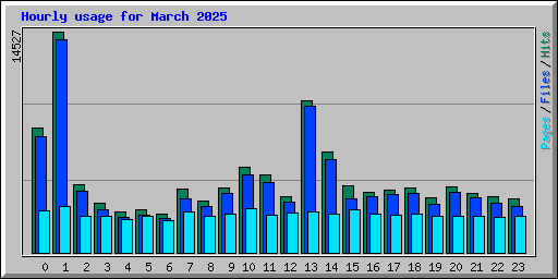 Hourly usage for March 2025