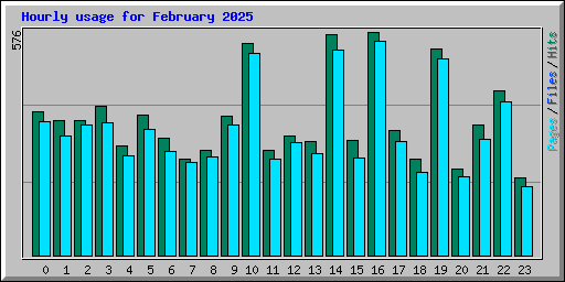 Hourly usage for February 2025