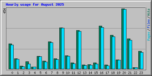 Hourly usage for August 2025